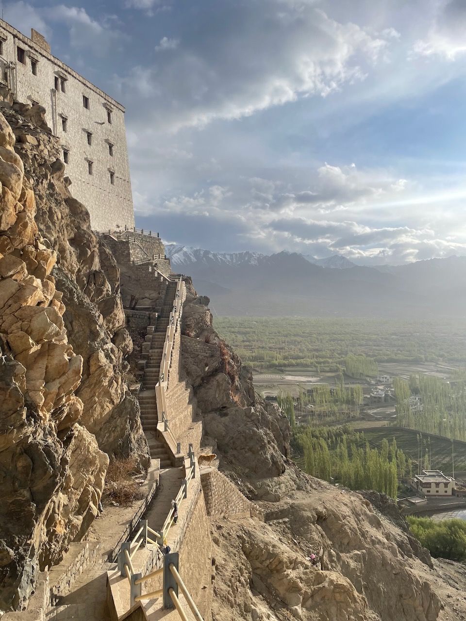dog standing in front of a huge monastery